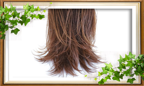 フレンチカットグランイメージ画像1