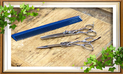 フレンチカットグランイメージ画像2