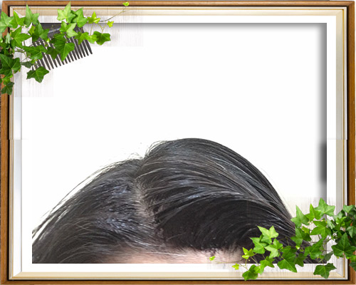 白髪染め、白髪ぼかしイメージ画像1