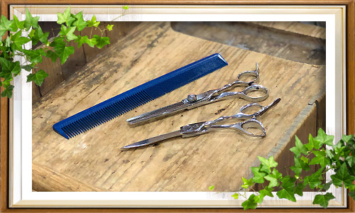 フレンチカットグラン