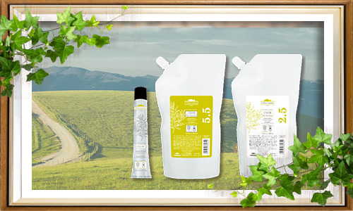 ヴィラロドラカラー